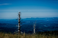 Mary's Peak