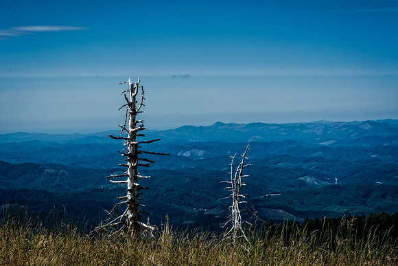 Mary's Peak