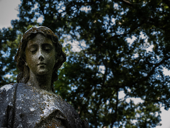 Myrtle Hill Cemetery