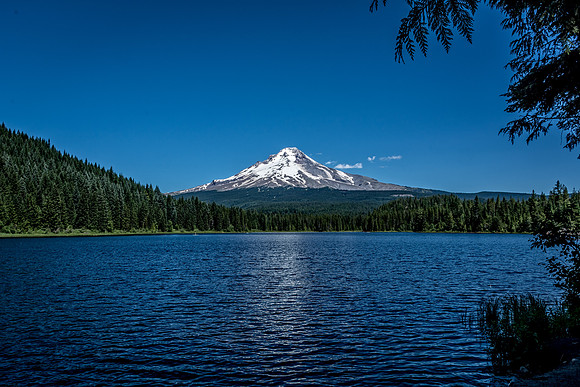 Mt. Hood
