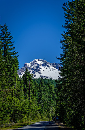 Mt. Hood