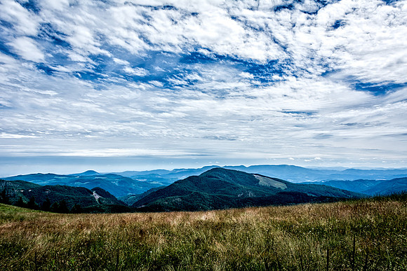 Mary's Peak