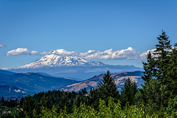 Mt. Adams