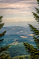 Willamette Valley