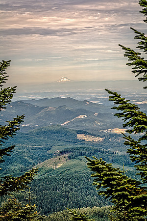Willamette Valley