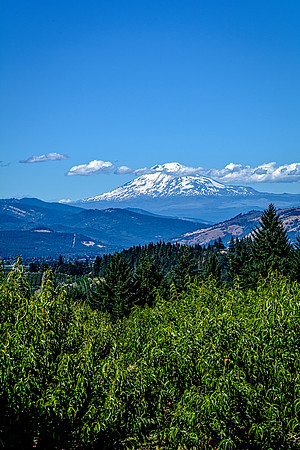Mt. Adams