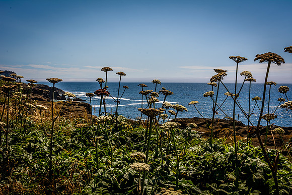 Pacific Ocean