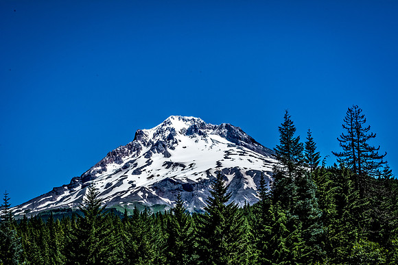 Mt. Hood