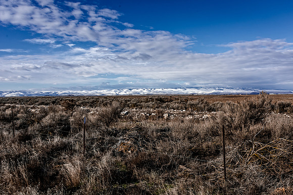 Field in Washington