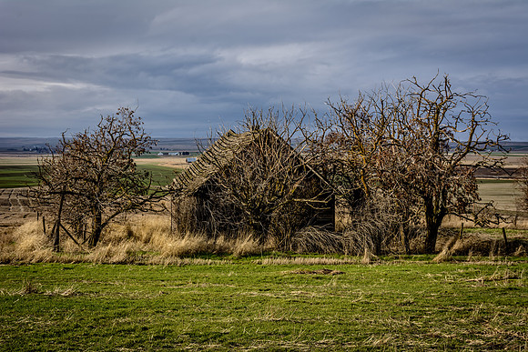 Old Farm House